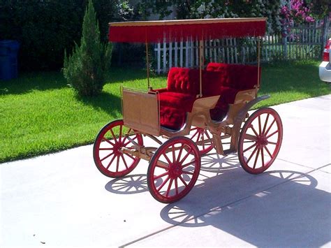 carriage horse for driving as she is perfect under harness. . Carriage horses for sale in texas